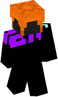 Skinfile