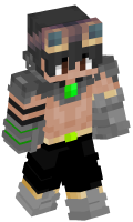 Skinfile