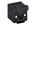 Skinfile