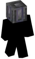 Skinfile