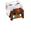 Skinfile