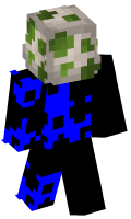 Skinfile