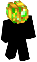 Skinfile