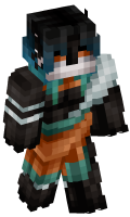 Skinfile