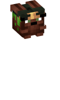Skinfile