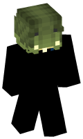 Skinfile