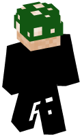 Skinfile