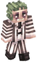 Skinfile