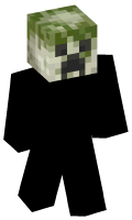 Skinfile