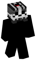 Skinfile