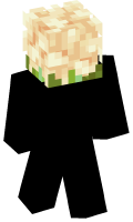 Skinfile