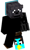 Skinfile