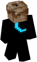 Skinfile