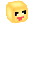 Skinfile