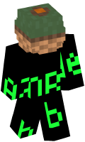 Skinfile