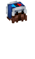 Skinfile