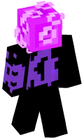 Skinfile