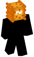 Skinfile