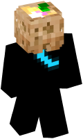 Skinfile
