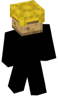 Skinfile