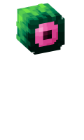 Skinfile
