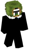 Skinfile