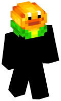 Skinfile