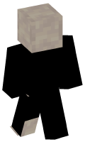 Skinfile