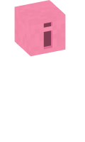 Skinfile