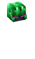 Skinfile