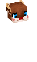 Skinfile