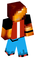 Skinfile