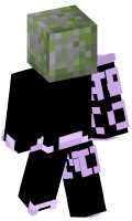 Skinfile