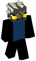 Skinfile