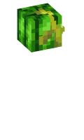 Skinfile