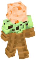 Skinfile