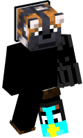 Skinfile
