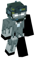 Skinfile