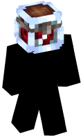 Skinfile