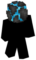 Skinfile