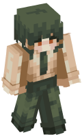 Skinfile