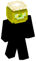 Skinfile
