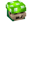 Skinfile