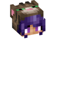 Skinfile