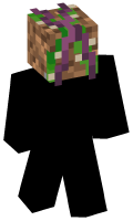 Skinfile