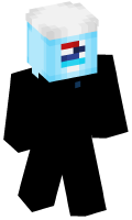 Skinfile