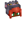 Skinfile