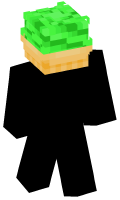 Skinfile