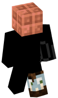 Skinfile