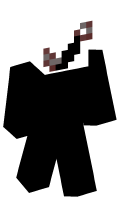 Skinfile